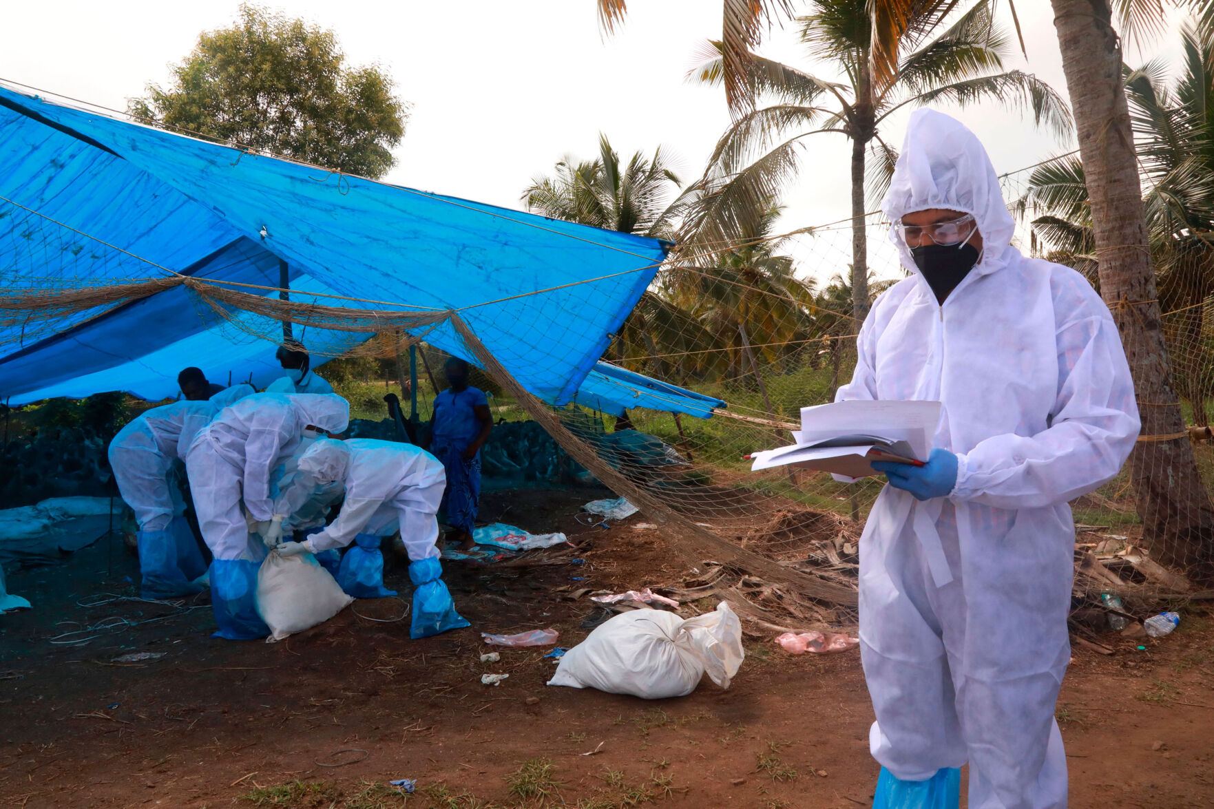 Bird flu isn't a direct threat to humans yet, experts say, but they're keeping a close eye on the virus